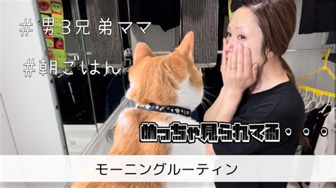 モーニングルーティン男3兄弟ママときどき猫 朝ごはん YouTube