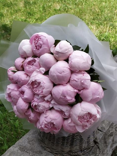 Peony Flower Bouquet Delivery Best Flower Site