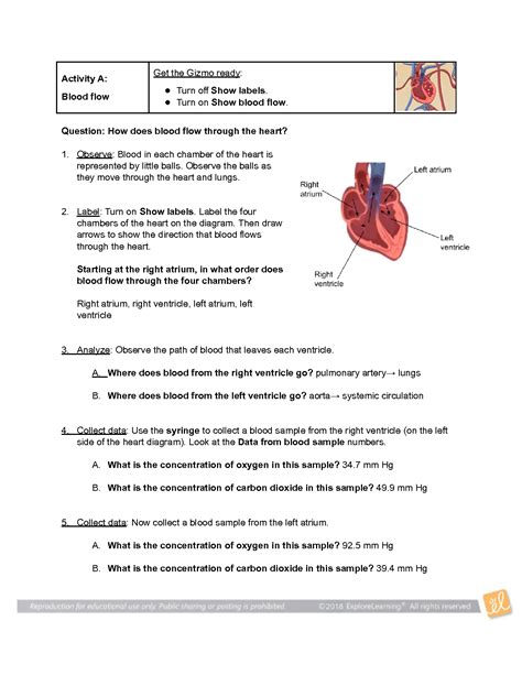 Circulatory System Gizmo Answers Key Explorelearning Student