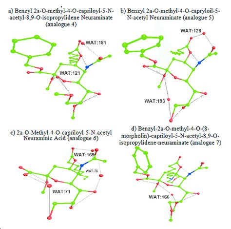 The 3D Structure Of Neuraminic Acid Analogues In Global Minimum Energy