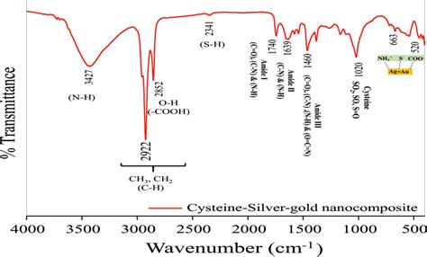 Ft Ir Spectra Of Cysteineag Au Nanocomposite Download Scientific