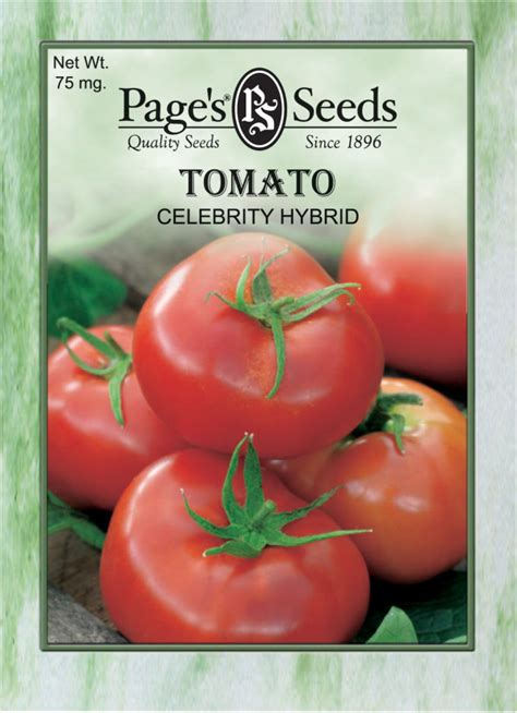 Tomato Celebrity Hybrid The Page Seed Company Inc