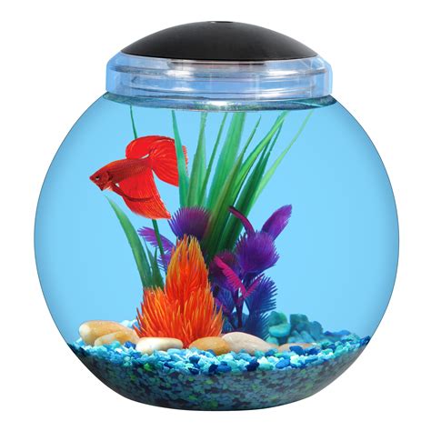 Fish aquarium bowl - mamaDer