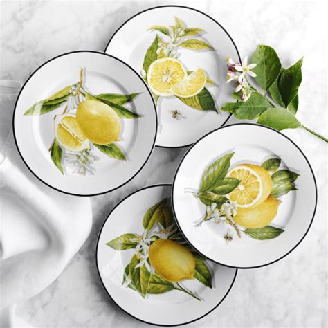 Meyer Lemon Salad Plates Mixed Set Of 4 Williams Sonoma