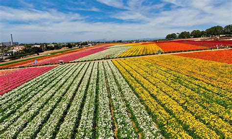 The Best Spots To Photograph In San Diego