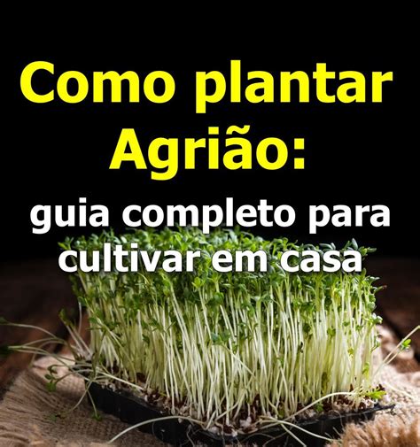 Como plantar Agrião guia completo para cultivar em casa