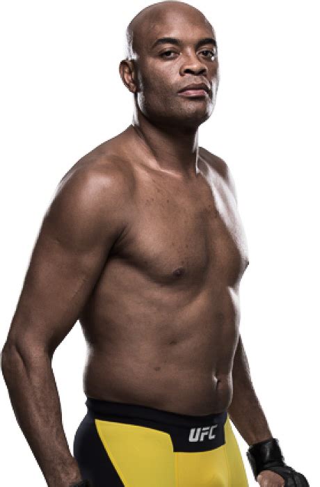 Anderson Silva Palmares Combattant Wiki Mma Boxemag