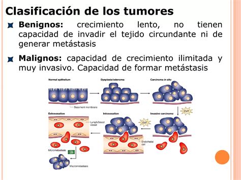 Inmunidad Frente A Tumores Ppt