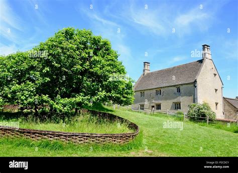 Apple tree in front of Woolsthorpe Manor, Lincolnshire, home of the ...