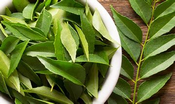 Curry Leaves Substitute 🌿: Find the Best Alternative