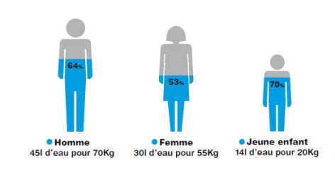 Leau et la vie Eau Santé bien être et Humain