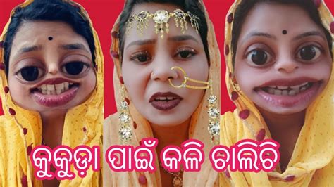 କୁକୁଡ଼ା ପାଇଁ କଳି ଚାଲିଚି🤣comedy🤪odiacomedytikina Vlog Odia🤣comedy🤣