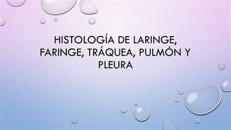 Histología de laringe faringe tráquea pulmón y pleura Mauricio