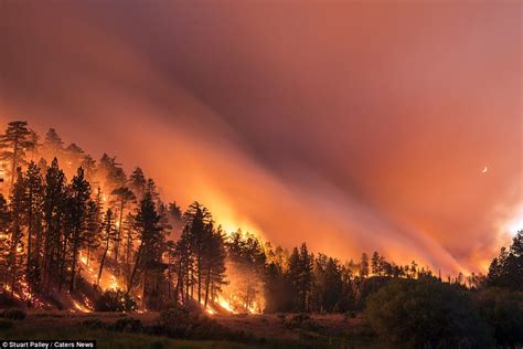 Photographer Stuart Palleys Images Capture The Beauty Of Californias