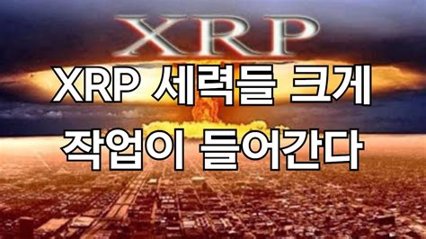 Xrp 세력들 크게 작업이 들어간다 🚀 리플코인 비트코인 이더리움 에이다 도지코인 Youtube