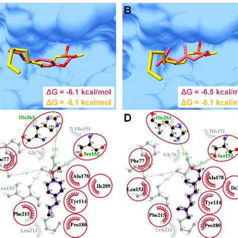 Molecular Mechanics Generalized Born Surface Area Mm Gbsa Binding