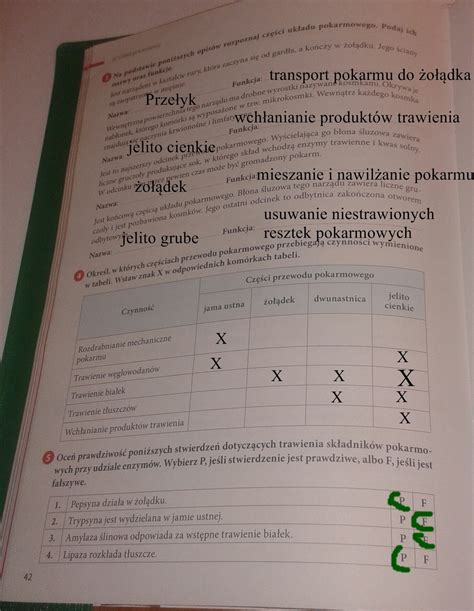 Biologia Klasa 7 Ćwiczenia Odpowiedzi