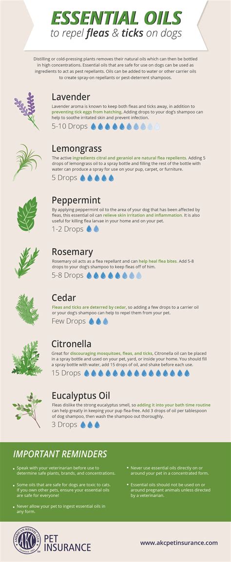 Does Citronella Oil Deter Dogs