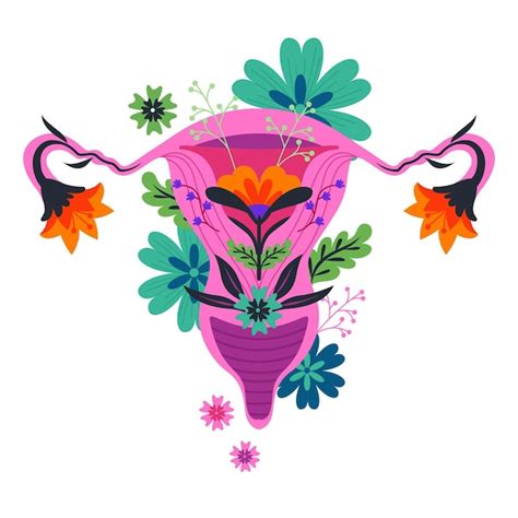 Sistema Reproductor Femenino Floral Colorido Vector Premium