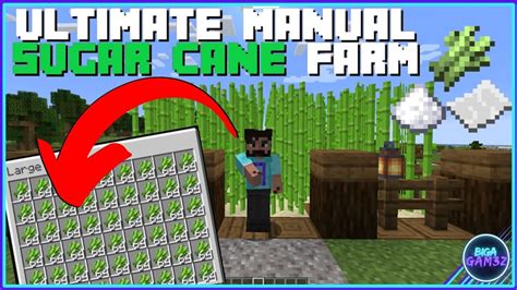 Minecraft Ultimate Manual Sugar Cane Farm For Java Bedrock