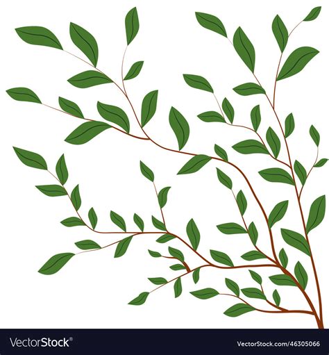 Branch Royalty Free Vector Image - VectorStock