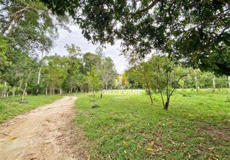 Terreno na Rua Expedicionário Pedro Paulin Cerro Azul Cerro Azul PR