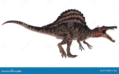 Dinosaur Spinosaurus Royalty-Free Stock Photography | CartoonDealer.com ...