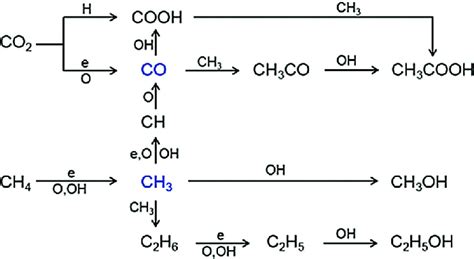 Scheme 2 Possible Reaction Pathways For The Formation Of CH 3 COOH CH