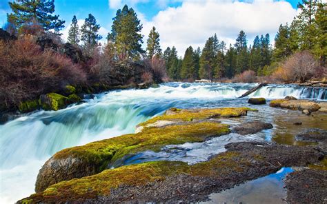 Fonds d écran Rivière ruisseau rochers forêt 2560x1600 HD image