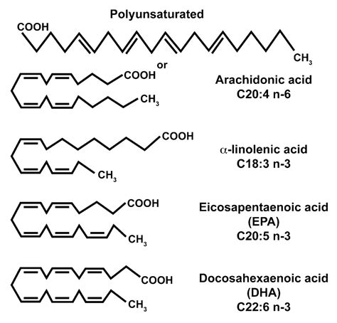 Omega Six Fa Molecular Structure