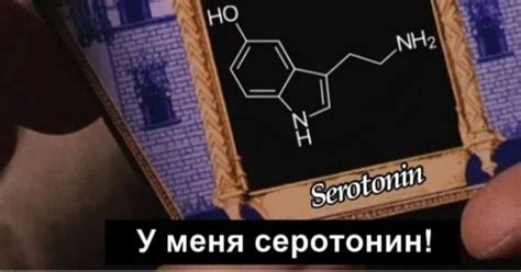 Гарри Поттер и серотонин философии | Пикабу
