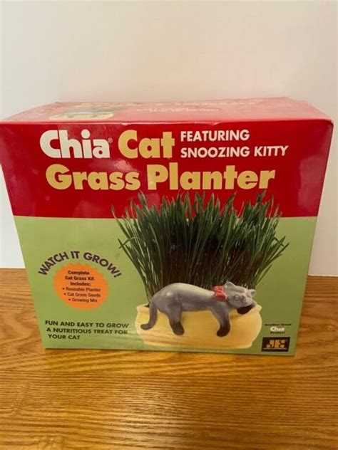 Chia Cat Snoozing Kitty Grass Planter Sealed Ebay