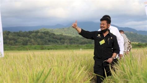 Sepanjang Tahun Ntp Stabil Tinggi Tanda Kesejahteraan Petani Membaik