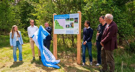 Maatregelen Toekomstbestendig Bos In Gemeente Rheden