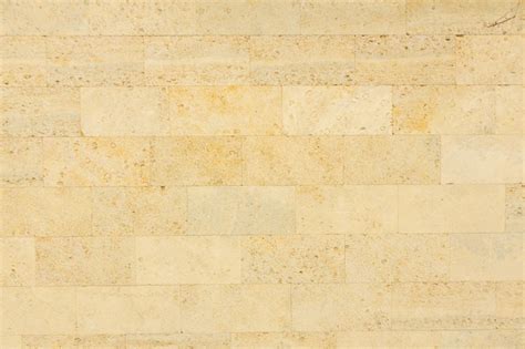 Premium Photo Shell Limestone Wall Texture Background