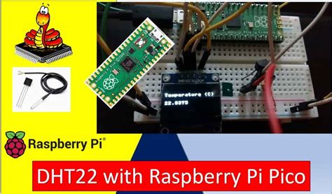 Interface Ds B Temperature Sensor With Raspberry Pi Pico