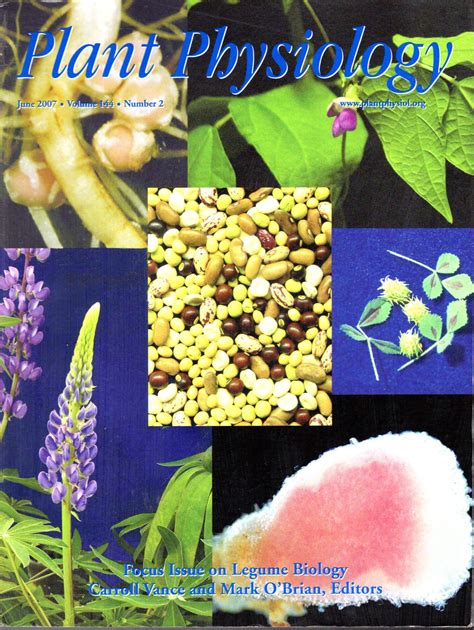 Plant Physiology Volume 144 No 2 June 2007 Focus Issue On Legume