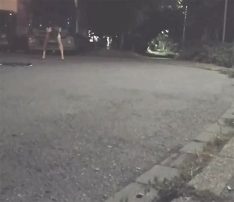 Trucker Babe Shemale Amateur Amateur Porn Feat Slut Bella XHamster