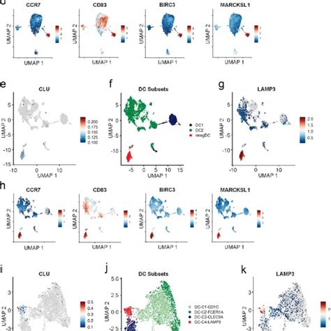 Clusterin Is Expressed By Mature DCs In Human Cancer A UMAP Plot