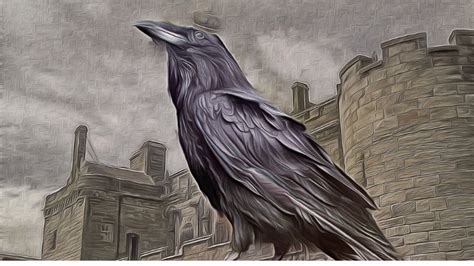 Raven Symbolism And Meaning: Beware If Seeing These!