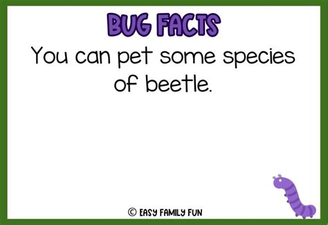 100 Epic Bug Facts for Kids