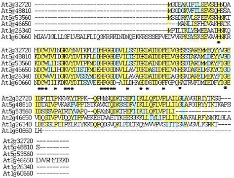 Amino Acid Sequence Alignment Of The 6 Cyt B 5 Proteins In Arabidopsis