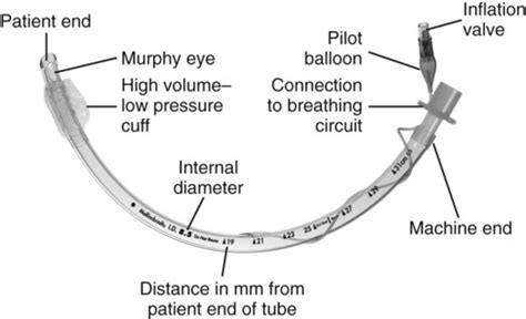 Endotracheal Intubation Equipment