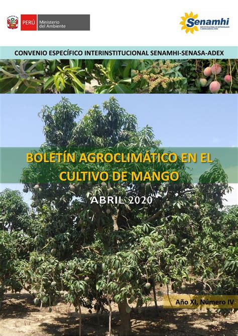 Pdf Bolet N Agroclim Tico En El Cultivo De Mango Dokumen Tips