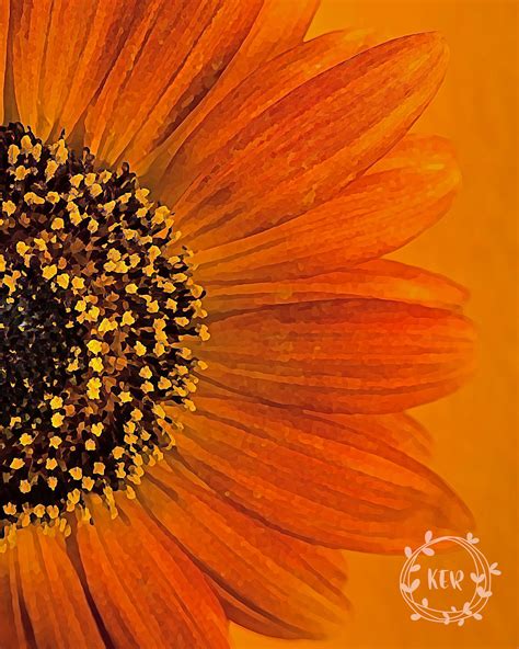 Sunflower, Sunflowers, Fine Art, Flower Art, Digital Art, Art - Etsy