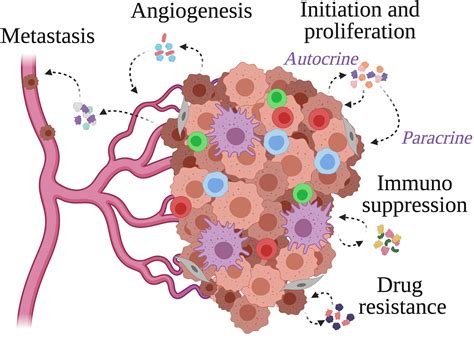 Frontiers Tumor Induced Inflammatory Cytokines And The Emerging Diagnostic Devices For Cancer