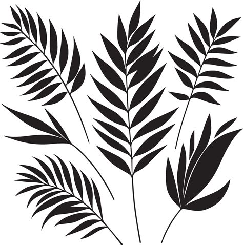 Minimal Tropical Leave Vector Silhouette Black Color Silhouette White