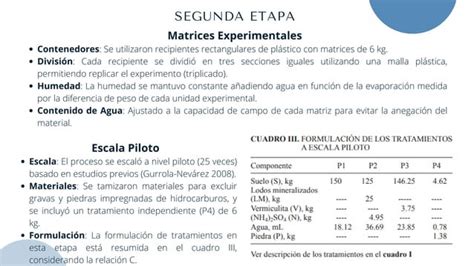 Biorremediaci N De Suelo Contaminado Con Hidrocarburos Empleando Lodos