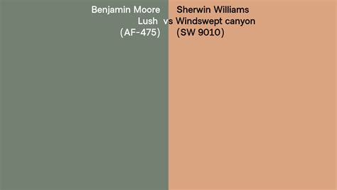 Benjamin Moore Lush Af Vs Sherwin Williams Windswept Canyon Sw