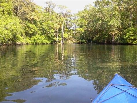 Crystal Springs, Florida. Great vacation spot. Loved kayaking with the ...